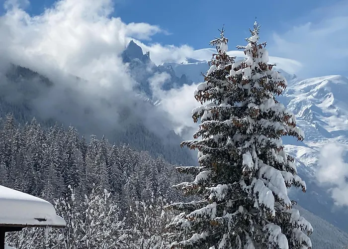 Aikoa Шале Шамони